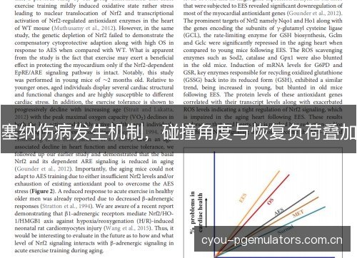 塞纳伤病发生机制,碰撞角度与恢复负荷叠加 塞纳伤病发生机制,碰撞角度与恢复负荷叠加